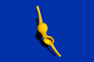 lemon or citrus hand press